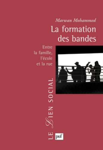 La formation des bandes : entre la famille, l'école et la rue