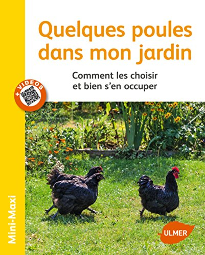 Quelques poules dans mon jardin : comment les choisir et bien s'en occuper