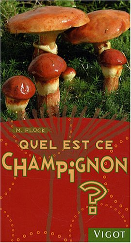 Quel est ce champignon ?