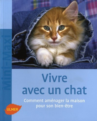 Vivre avec un chat : comment aménager la maison pour son bien-être