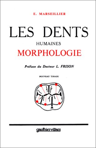 Les Dents humaines : morphologie