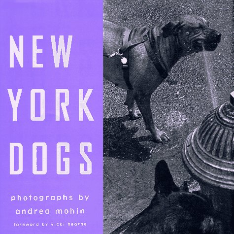 New York Dogs