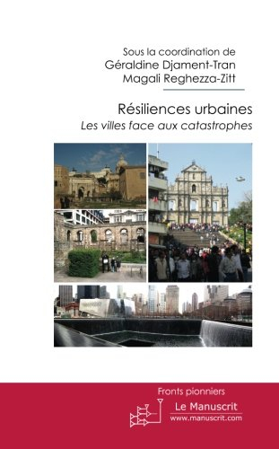 Résiliences urbaines : les villes face aux catastrophes