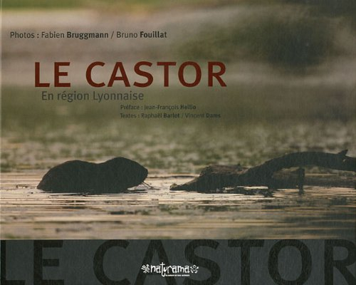 Le castor : en région lyonnaise