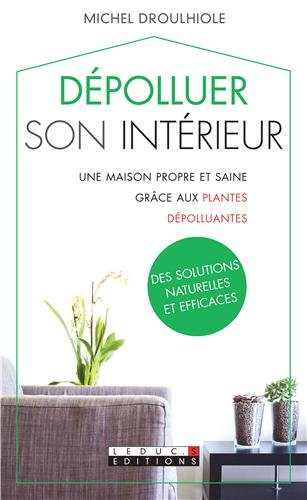 Dépolluer son intérieur : une maison propre et saine grâce aux plantes dépolluantes : des solutions 
