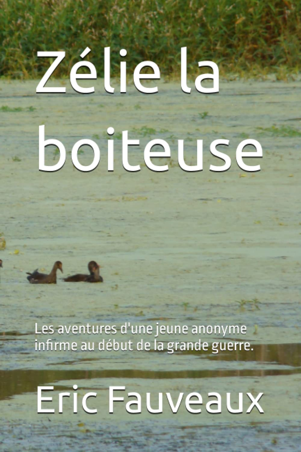 Zélie la boiteuse: Les aventures d'une jeune anonyme infirme au début de la grande guerre.