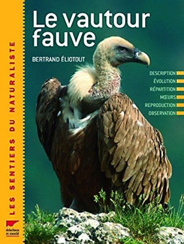 Le vautour fauve : description, évolution, répartition, reproduction, observation, protection