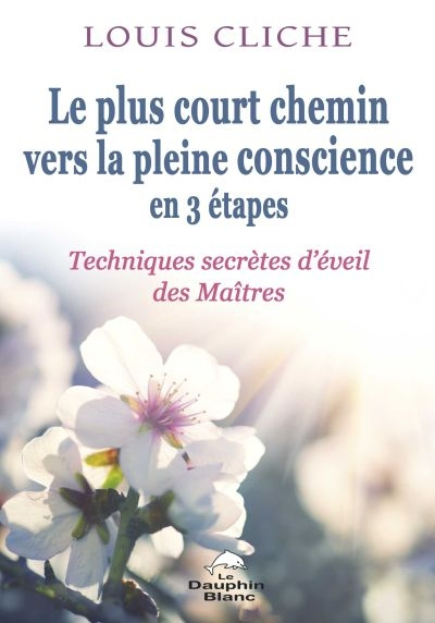 Le plus court chemin vers la pleine conscience en 3 étapes : techniques secrètes d'éveil des maîtres