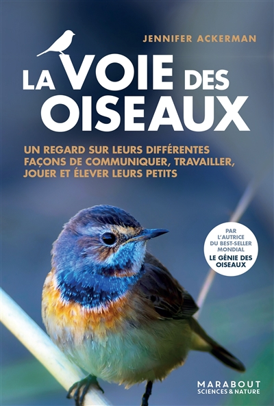 La voie des oiseaux : un nouveau regard sur la façon dont les oiseaux communiquent, travaillent, jou