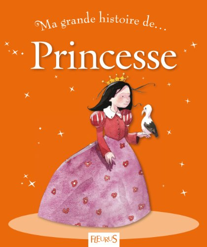 Ma grande histoire de princesse