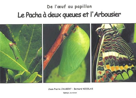 Le pacha à deux queues et l'arbousier : de l'oeuf au papillon