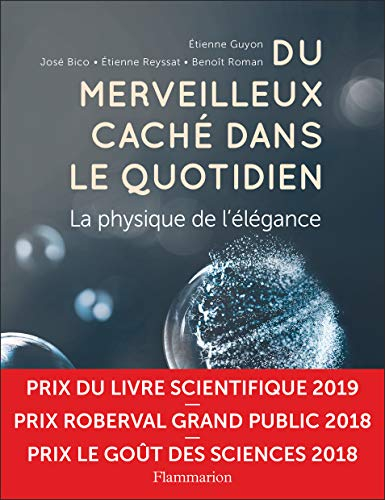 Du merveilleux caché dans le quotidien : la physique de l'élégance