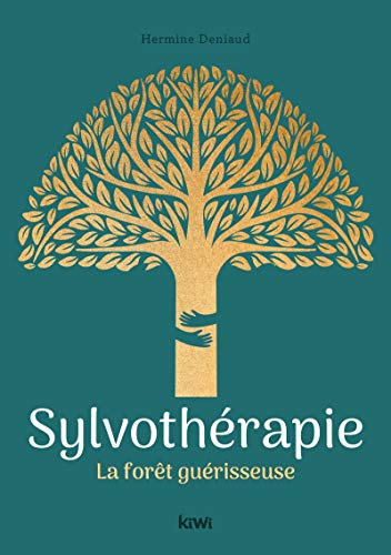 Sylvothérapie : la forêt guérisseuse