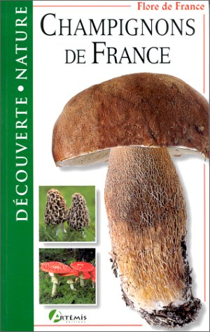 champignons de france