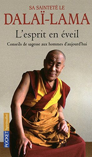L'esprit en éveil : conseils de sagesse aux hommes d'aujourd'hui
