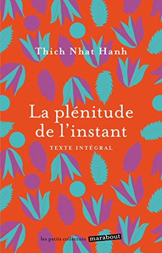 La plénitude de l'instant : vivre en pleine conscience