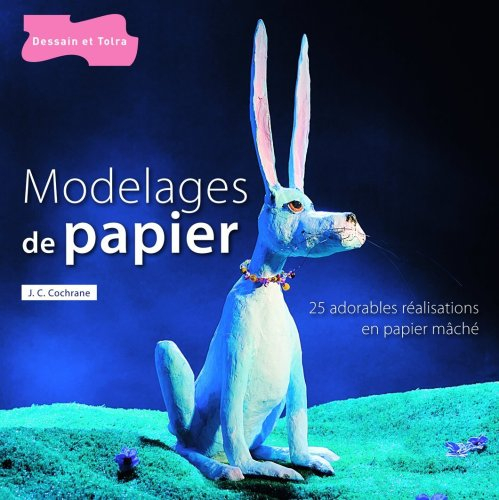 Modelages de papier : plus de 25 réalisations en papier mâché, originales et amusantes