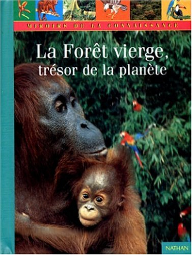 La forêt vierge, trésor de la planète