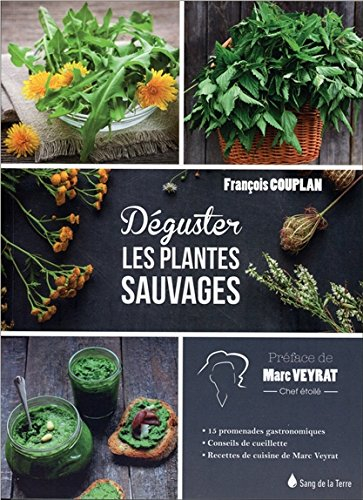 Dégustez les plantes sauvages