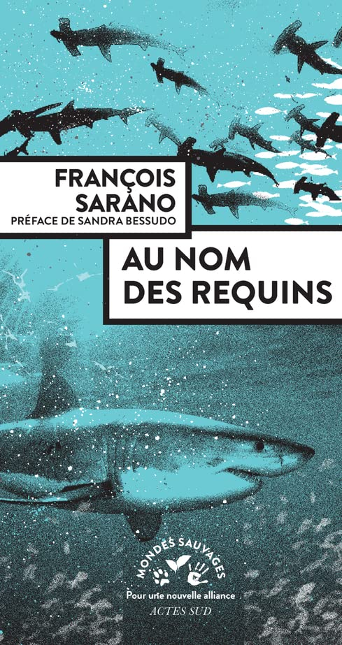 Au nom des requins