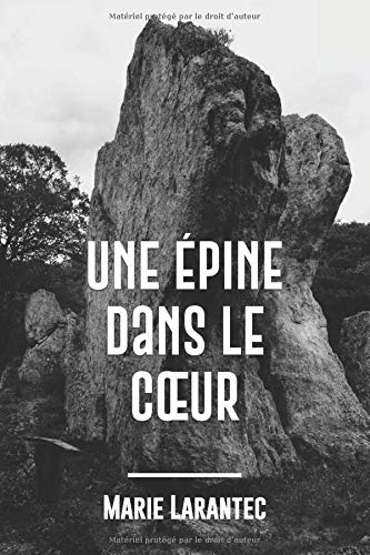 Une épine dans le c?ur: Une enquête du commandant Morin