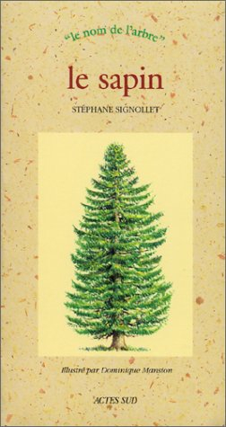 Le sapin