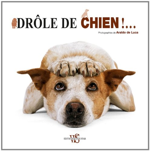 Drôle de chien !...