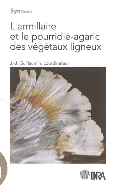 L'armillaire et le pourridié-agaric des végétaux ligneux