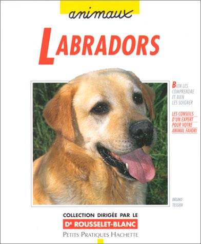 Labradors