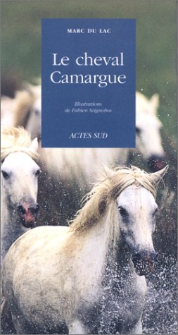 Le cheval Camargue