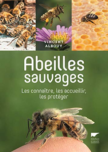 Abeilles sauvages : les connaître, les accueillir, les protéger