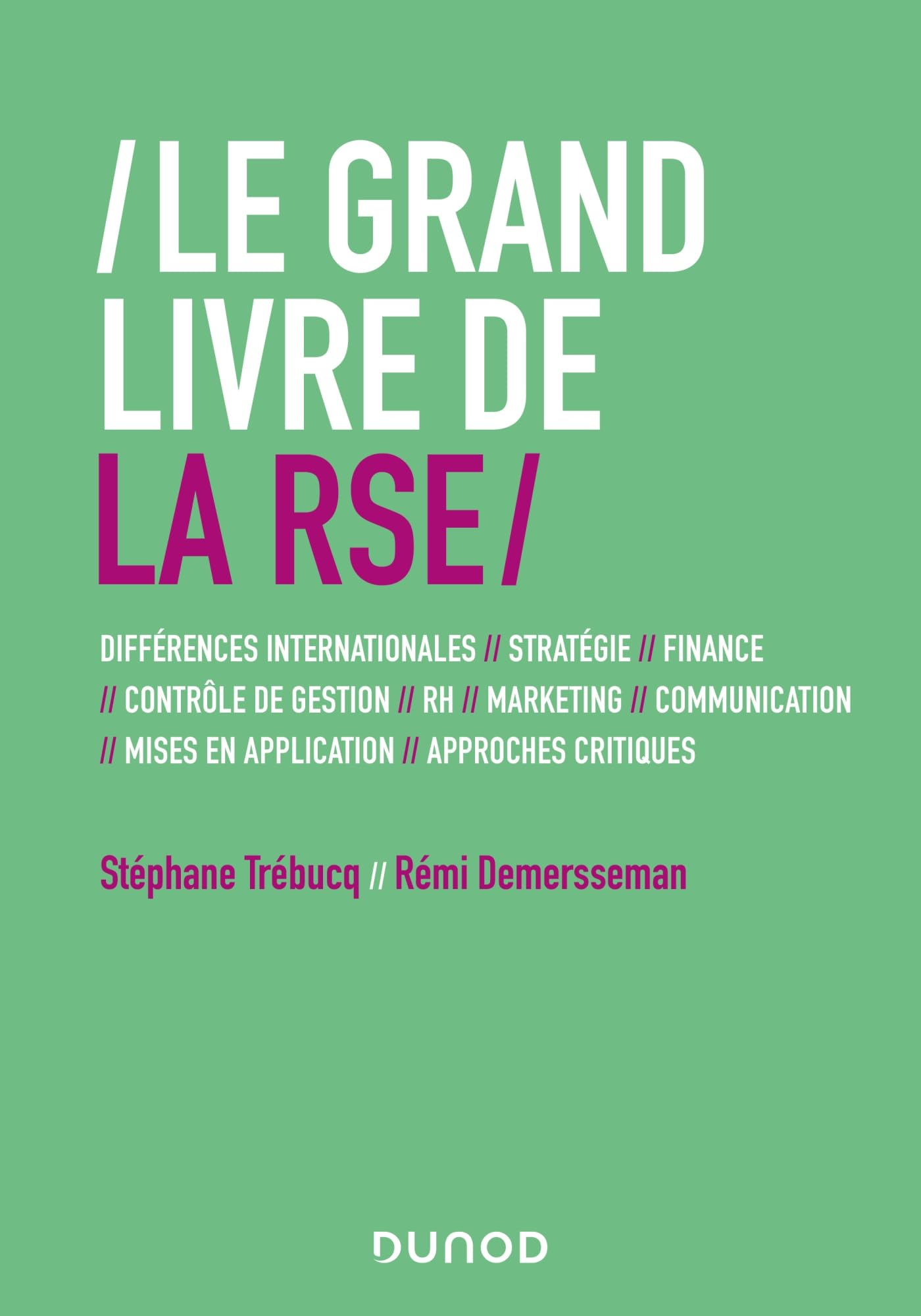 Le grand livre de la RSE : différences internationales, stratégie, finance, contrôle de gestion, RH,