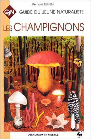 Les champignons