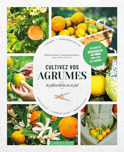 Cultivez vos agrumes : en pleine terre ou en pot