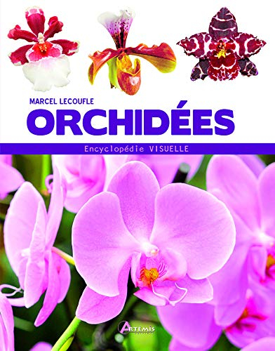 Orchidées