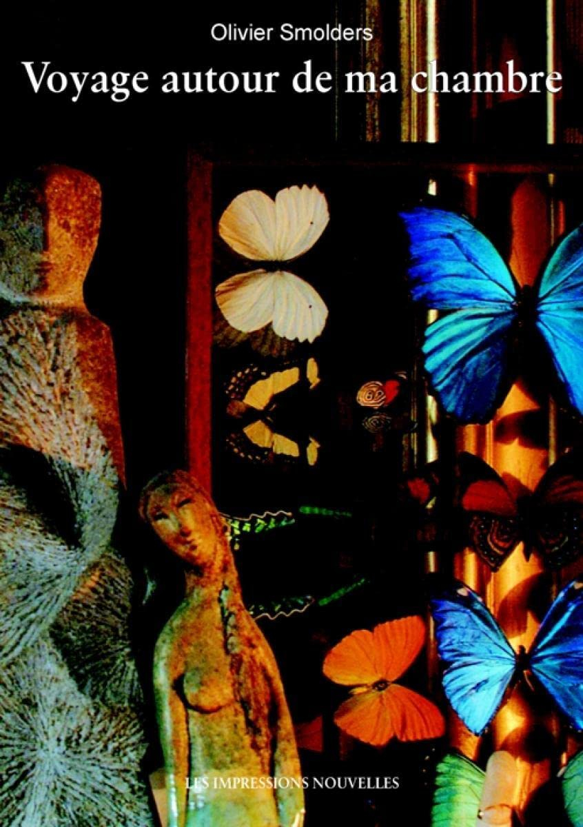 Voyage autour de ma chambre : notes pour un film immobile