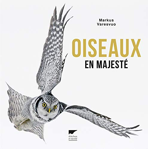 Oiseaux en majesté