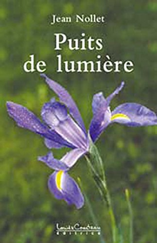 Puits de lumière