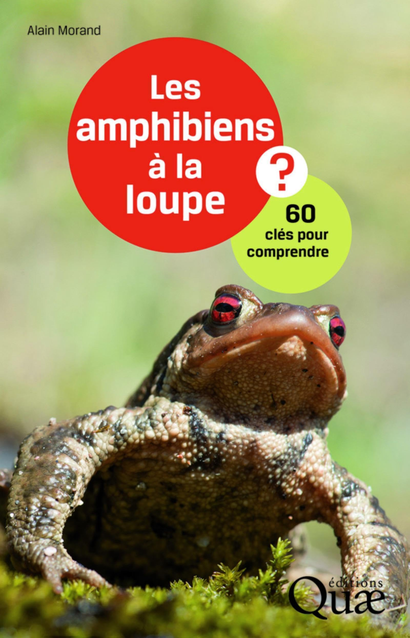 Les amphibiens à la loupe ? : 60 clés pour comprendre