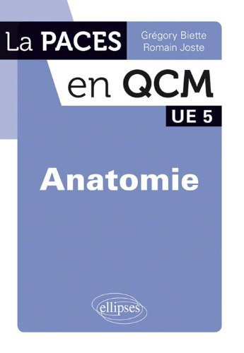 Anatomie : UE5