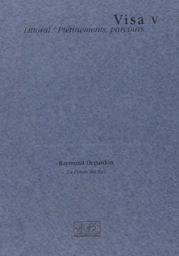 Visa. Vol. 5. Piétinements, parcours