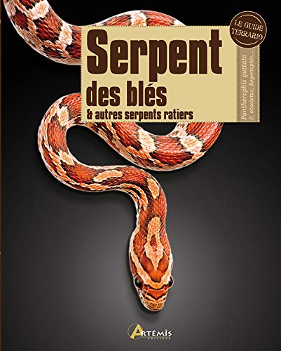 Serpent des blés & autres serpents ratiers : Pantherophis guttata, P. obsoletus, Bogertophis...