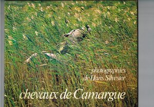 chevaux de camargue