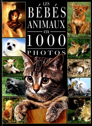 Les bébés animaux en 1000 photos