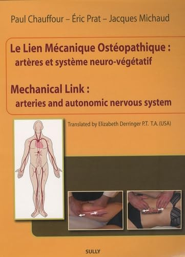 Le lien mécanique ostéopathique : artères et système neuro-végétatif
