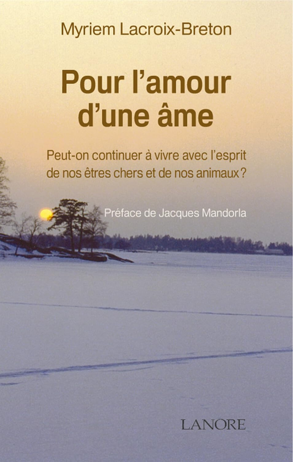 Pour l'amour d'une âme : peut-on continuer à vivre avec l'esprit de nos êtres chers et de nos animau