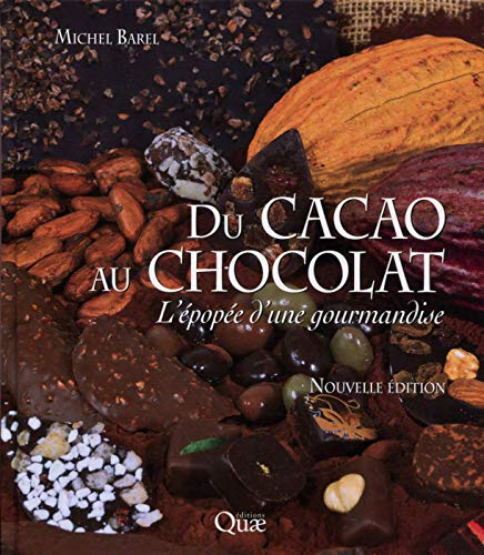 Du cacao au chocolat : l'épopée d'une gourmandise