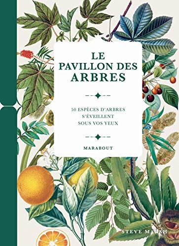 Le pavillon des arbres : 50 espèces d'arbres s'éveillent sous vos yeux