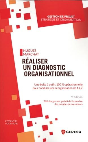 Réaliser un diagnostic organisationnel : une boîte à outils 100 % opérationnelle pour conduire une r