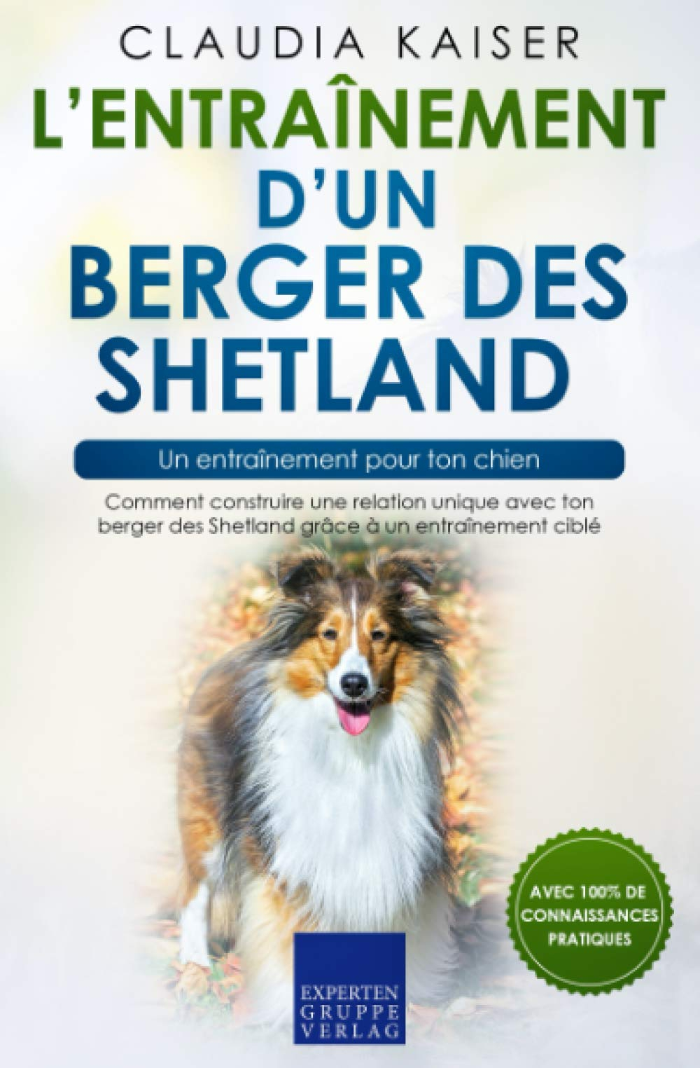 L’entraînement d’un berger des Shetland – un entraînement pour ton chien: Comment construire une rel